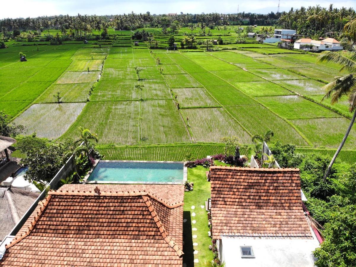 Villa O'Hea Ubud Buitenkant foto
